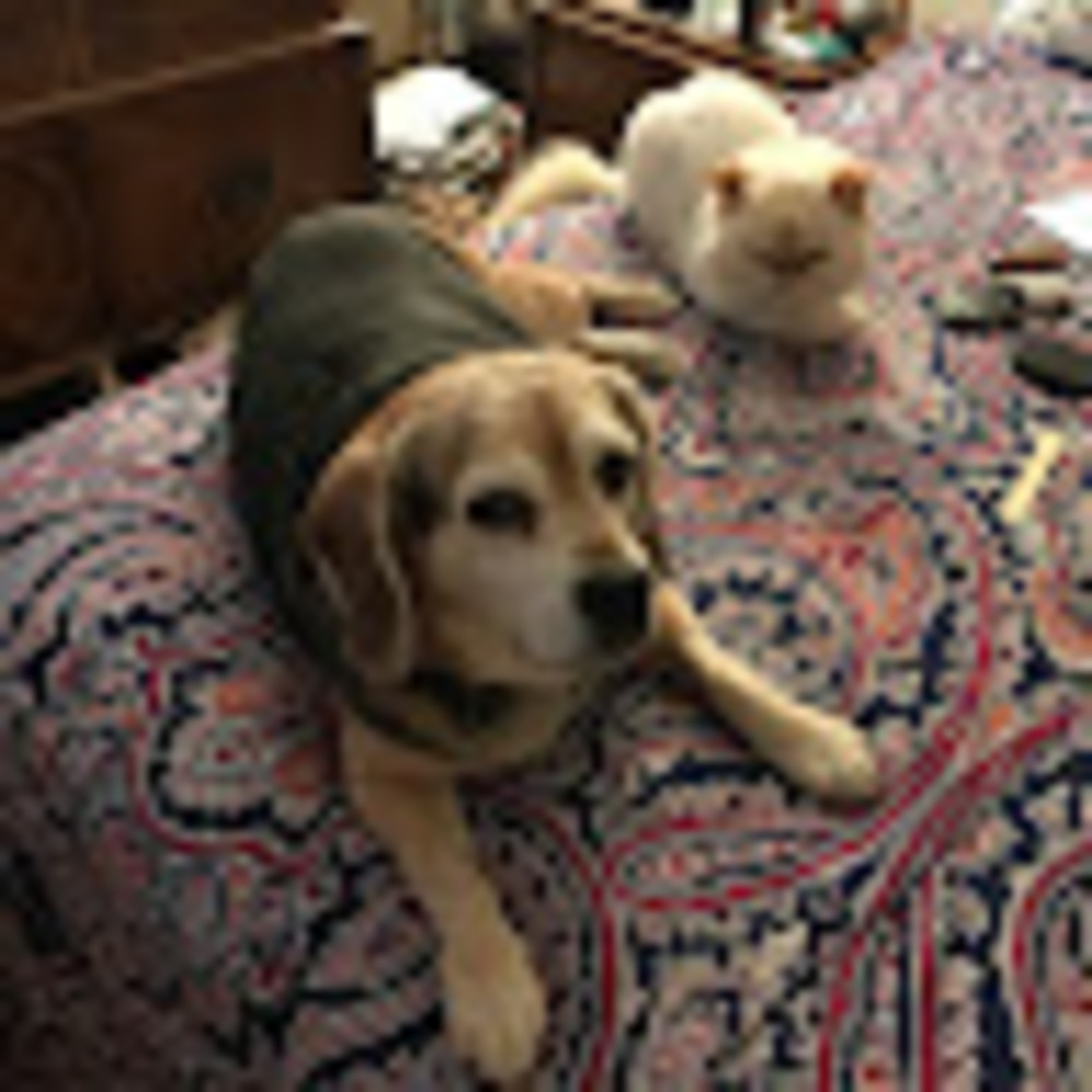 Meet your Posher, Miss